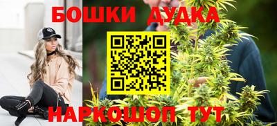 мдпв Можга