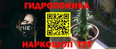 гашик Можайск